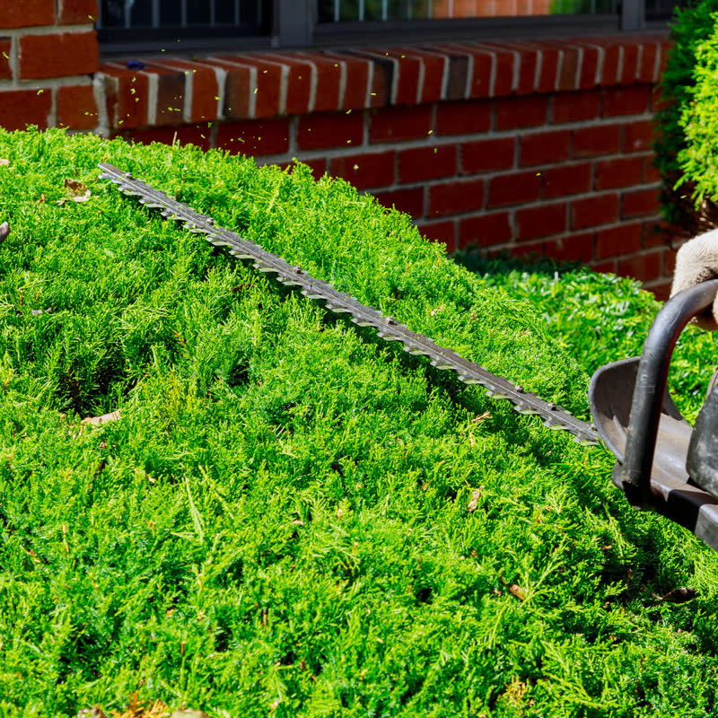 Edwards Lawn Care project