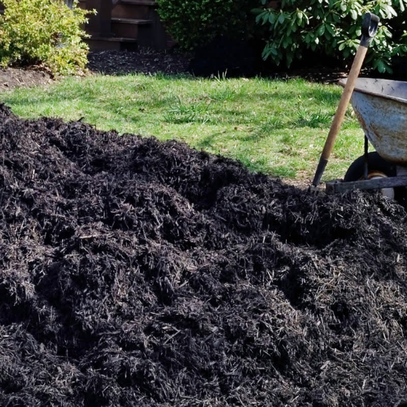 Edwards Lawn Care project