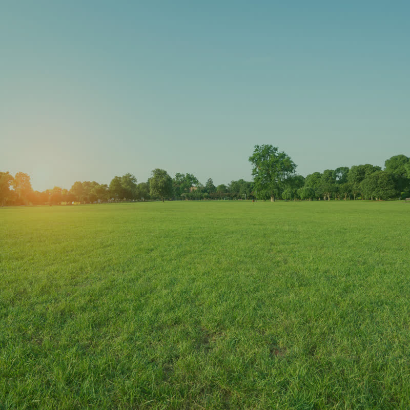 Edwards Lawn Care project